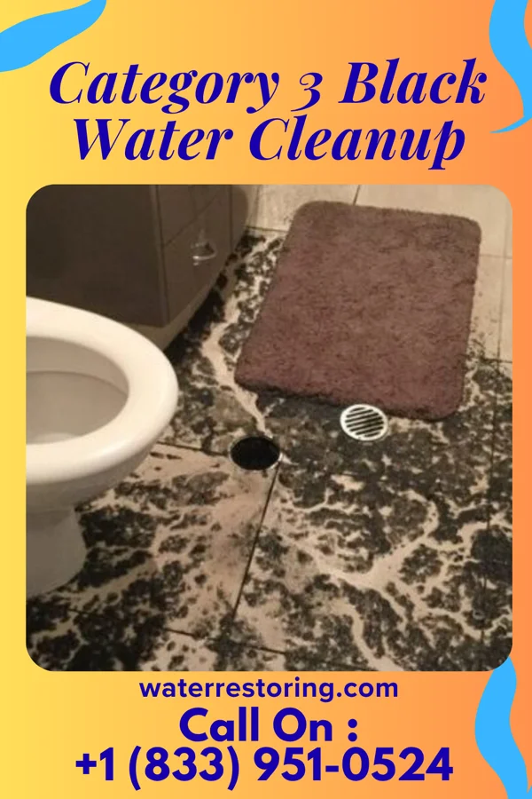 Category 3 Black Water Cleanup in Whittingham, NJ