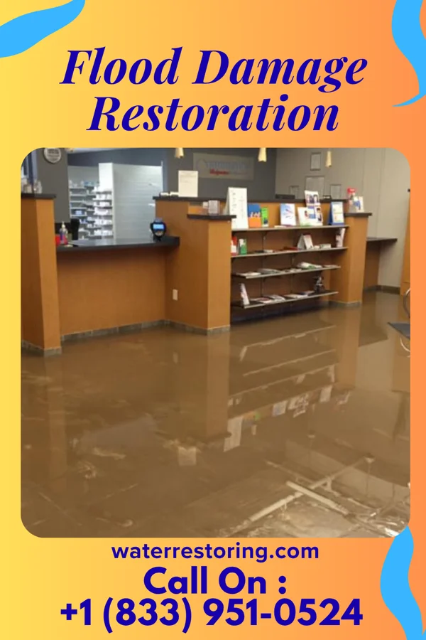 Flood Damage Restoration in Whittingham, NJ