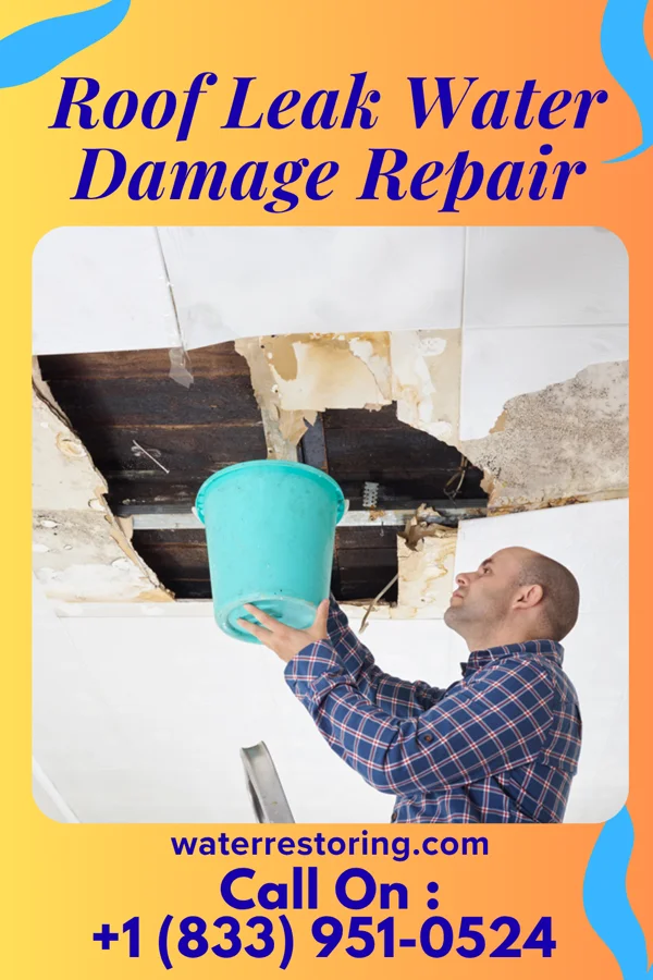 Roof Leak Water Damage Repair in Whittingham, NJ