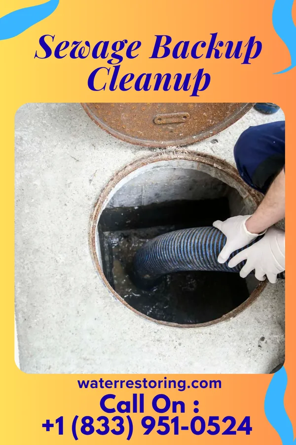 Sewage Backup Cleanup in Whittingham, NJ