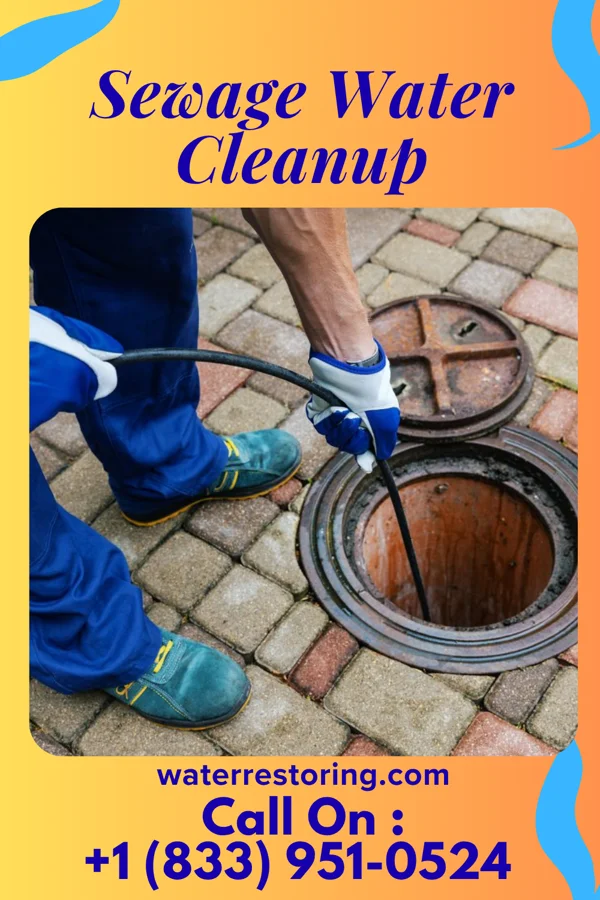 Sewage Water Cleanup in Whittingham, NJ
